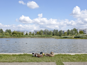 Technological park of St Priest